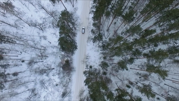 Car on a Forest Road