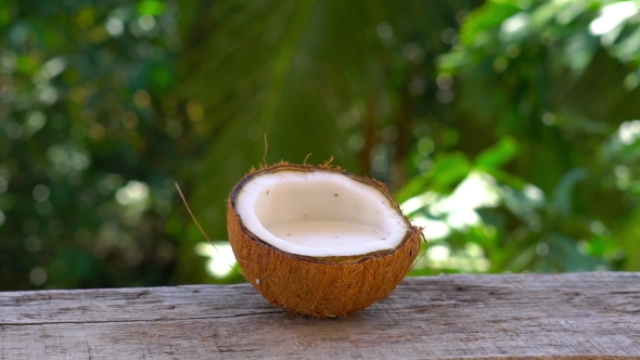 Supperslowmotion Shot of a Coconut Milk Getting Splashed Against the Background of Tropical Trees alt