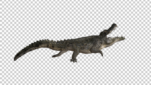 Alligator Attack alt