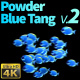 Powder Blue Tang 2 - VideoHive Item for Sale