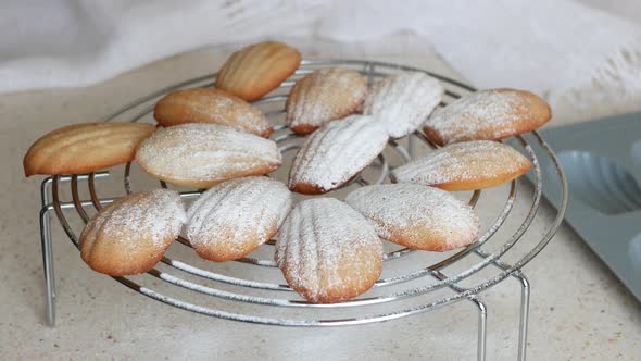 Dusting freshly baked madeleine with confectioners sugar