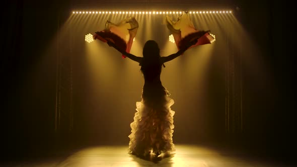Belly Dancer Dancing with Silk Fan Tissues. Shot in a Dark Studio with Smoke and Neon Lighting alt