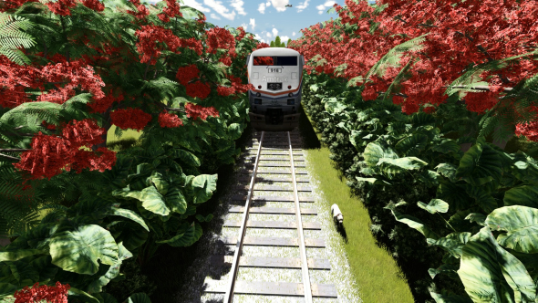 Train and Nature