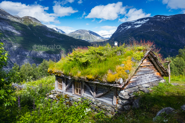 The grass-roofed houses in Norway - Stock Photo - Images