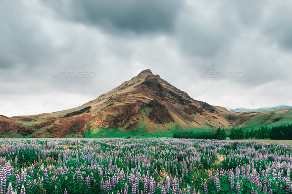 Typical Iceland landscape with mountains Stock Photo by ivankmit | PhotoDune