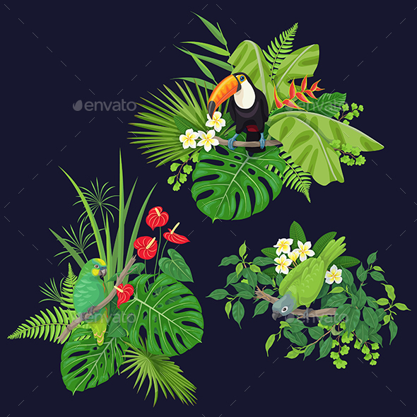 GraphicRiver Green Parrot and Toucan on Tree Branch 21192043 GraphicRiver Green Parrot and Toucan on Tree Branch 21192043