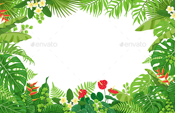 Tropical Plants Frame - Borders Decorative