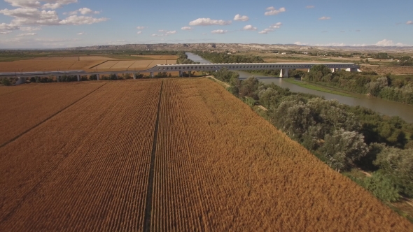 Fast Train Enters Bridge Near Cultivated Corn Field and River