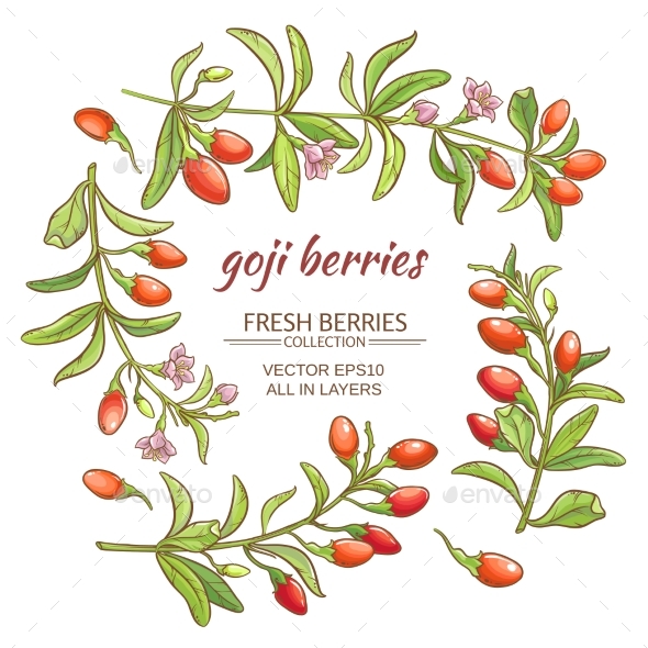 GraphicRiver Goji Berry 21194479 GraphicRiver Goji Berry 21194479