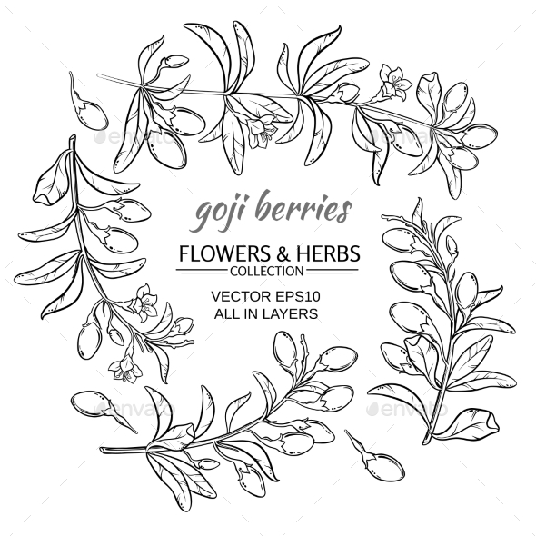 GraphicRiver Goji Berry Vector Set 21194516 GraphicRiver Goji Berry Vector Set 21194516