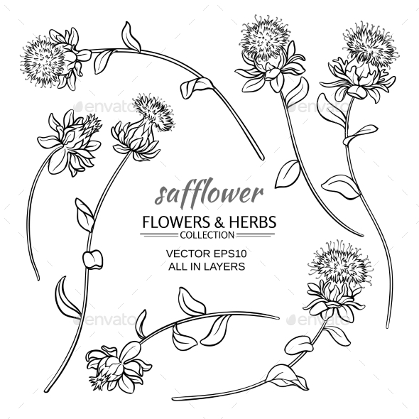 GraphicRiver Safflower Vector Set 21194583 GraphicRiver Safflower Vector Set 21194583