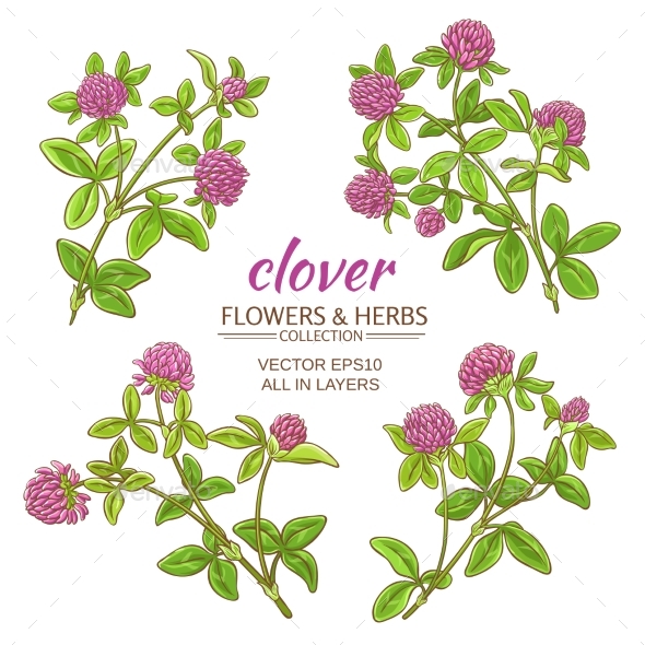 GraphicRiver Clover Vector Set 21194638 GraphicRiver Clover Vector Set 21194638
