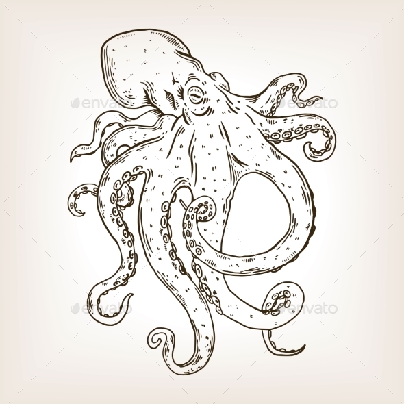 GraphicRiver Octopus Engraving Vector Illustration 21195132 GraphicRiver Octopus Engraving Vector Illustration 21195132