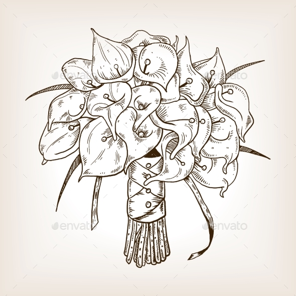 GraphicRiver Calla Flowers Engraving Vector Illustration 21195142 GraphicRiver Calla Flowers Engraving Vector Illustration 21195142