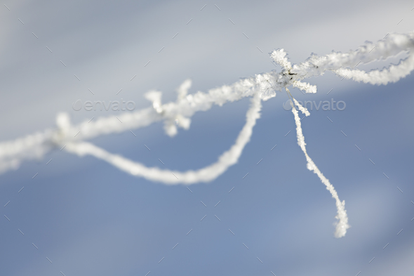 Ice Crystals On Barbed Wire - Stock Photo - Images