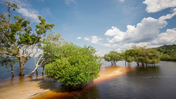 Beach in the Middle of Rio Negro, Brazil