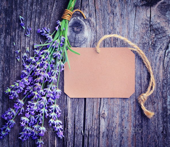 Lavender flowers (Lavandula) with paper tag on an old wooden tab Stock Photo by Nataljusja