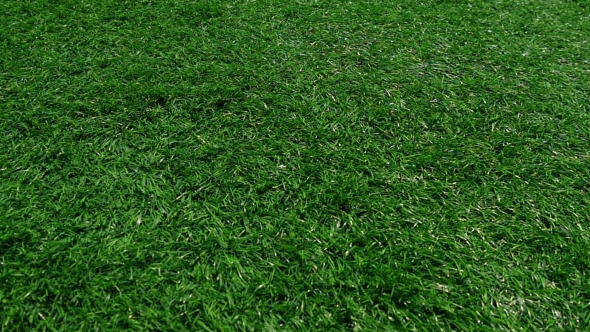 football turf grass