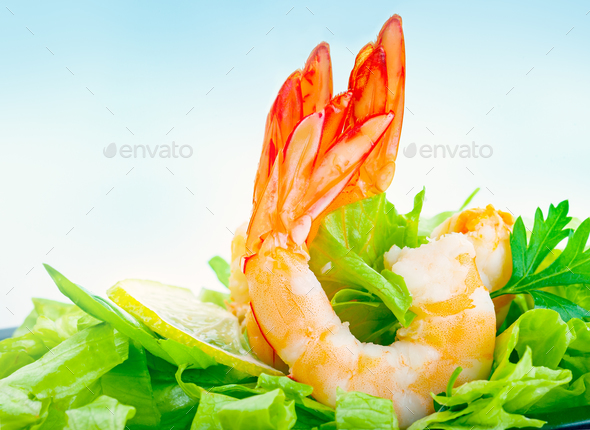 Tasty shrimp salad - Stock Photo - Images