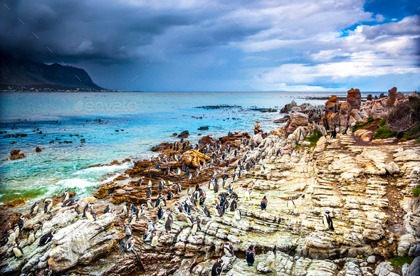 Amazing landscape of Betty's Bay - Stock Photo - Images