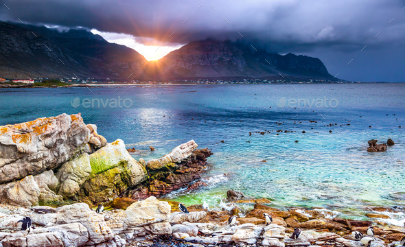 Amazing view of a bay - Stock Photo - Images