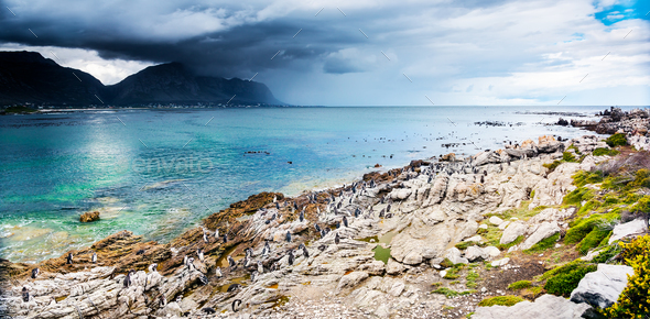 Amazing landscape of Betty's Bay - Stock Photo - Images