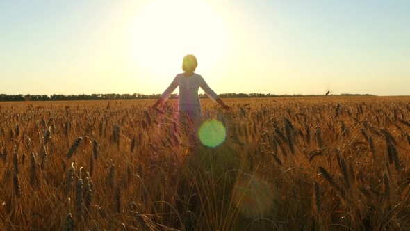 Young Woman Walking in White Dress in Wheat Field on Sunset Background ...