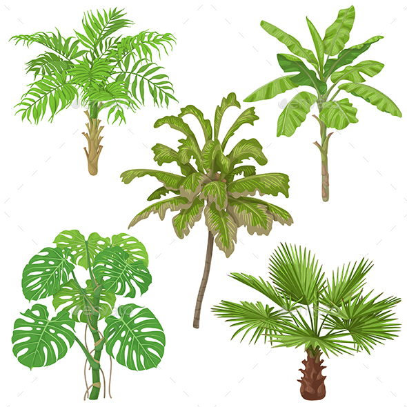 GraphicRiver Tropical Plants Isolated 21202760 GraphicRiver Tropical Plants Isolated 21202760