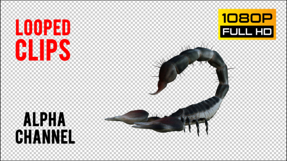 Scorpion 2 Realistic Pack 6 alt