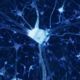Neuron Network - VideoHive Item for Sale