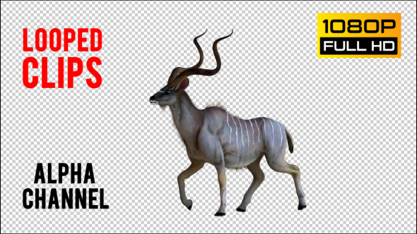 kudu 2 alt