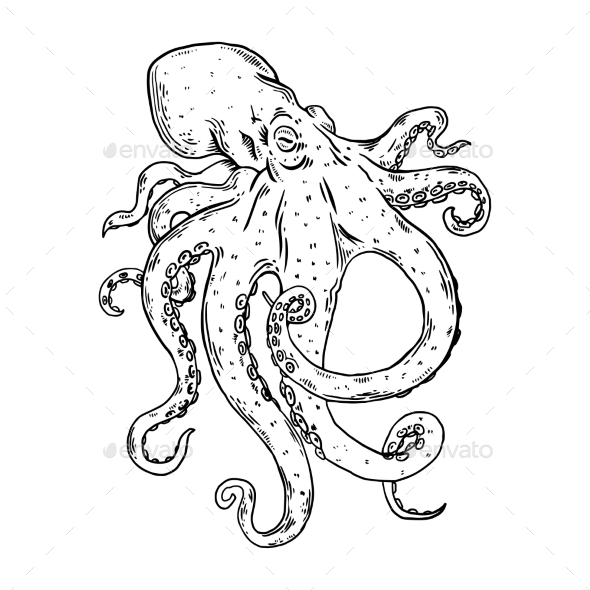 GraphicRiver Octopus Engraving Vector Illustration 21206998 GraphicRiver Octopus Engraving Vector Illustration 21206998