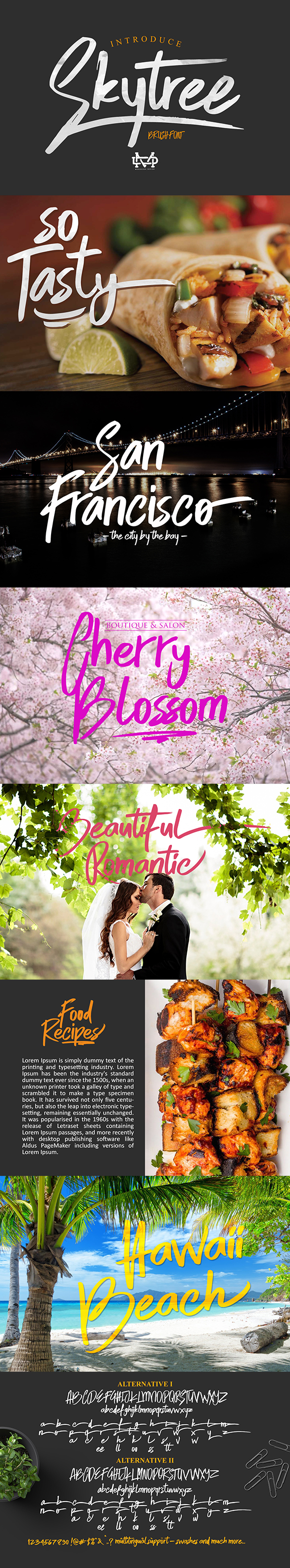 Skytree Script Brush Font - Script Fonts