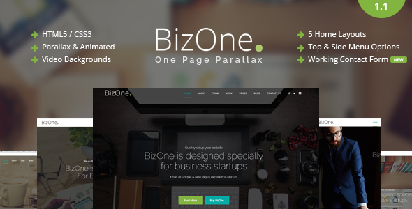 Wonderful BizOne - One Page Parallax