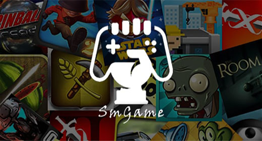 Experienced Programmer