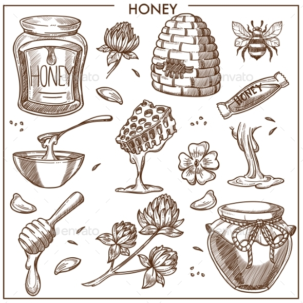 Sweet Honey From Apiary Isolated Cartoon - Food Objects