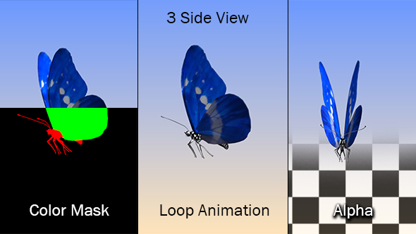 Blue Butterfly Loop