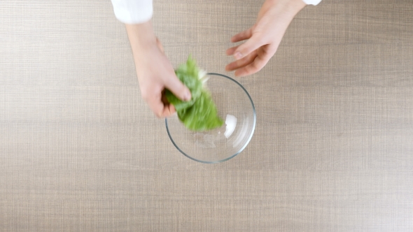 Chef Heands Preparing Green Salad From Leafs alt