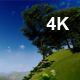 Green Mountains and Trees - VideoHive Item for Sale
