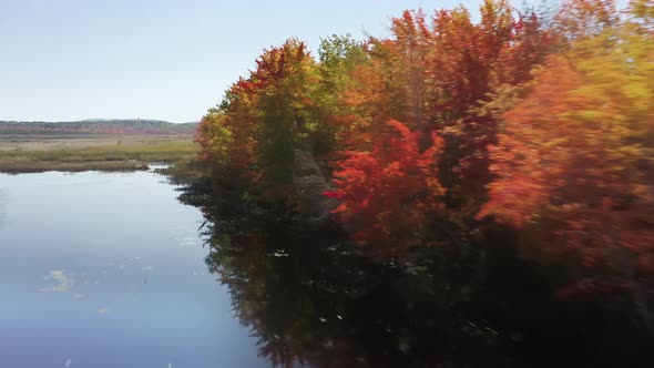 Sunrise Reflects Against Water Surface Surrounded By Dense Forest alt