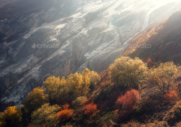 Beautiful trees on the hillside against mountains - Stock Photo - Images