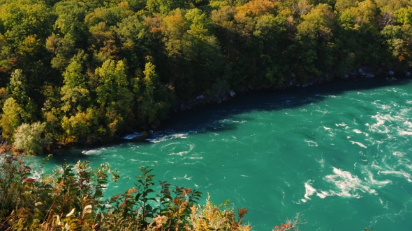Autumn Forest and Niagara River, Top View alt