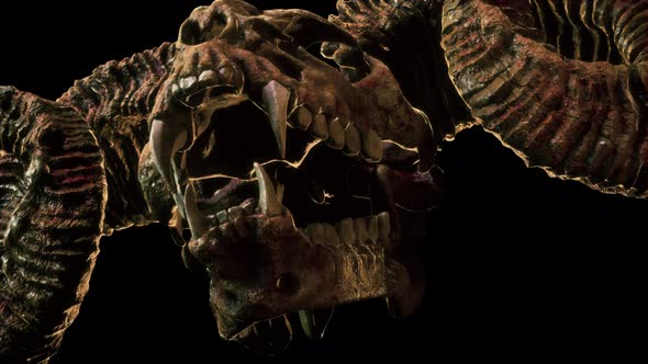 Scary Goat Skull VJ Loop alt