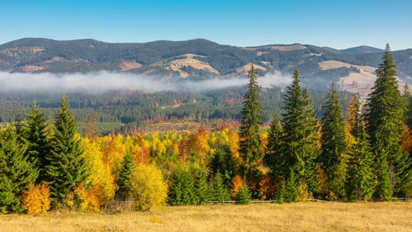 Autumn. Misty Morning in the Mountains alt