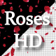 Rose - VideoHive Item for Sale