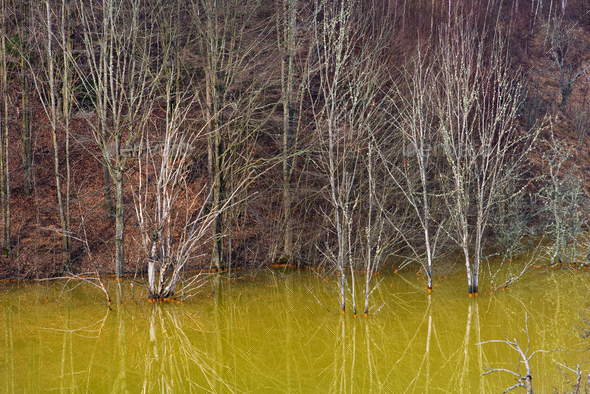 Green pollution lake with mining gold and copper residuals - Stock Photo - Images