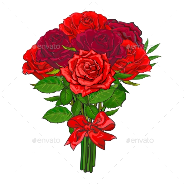Bunch of Red Rose Flowers Tied with Scarlet Ribbon - Flowers & Plants Nature