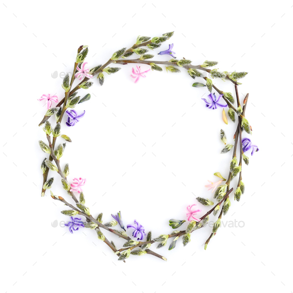 Pussy-willow branches with flowers hyacinth circle frame. Decora - Stock Photo - Images