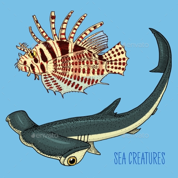 Sea Creature Red Lionfish and Great Hammerhead - Animals Characters