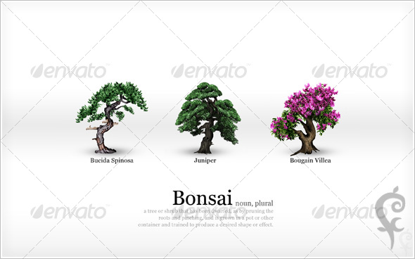 Bonsai Wallpaper - Nature Backgrounds
